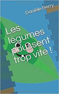 Couverture livre broche